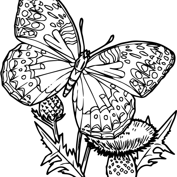 Butterfly Parcel Bag